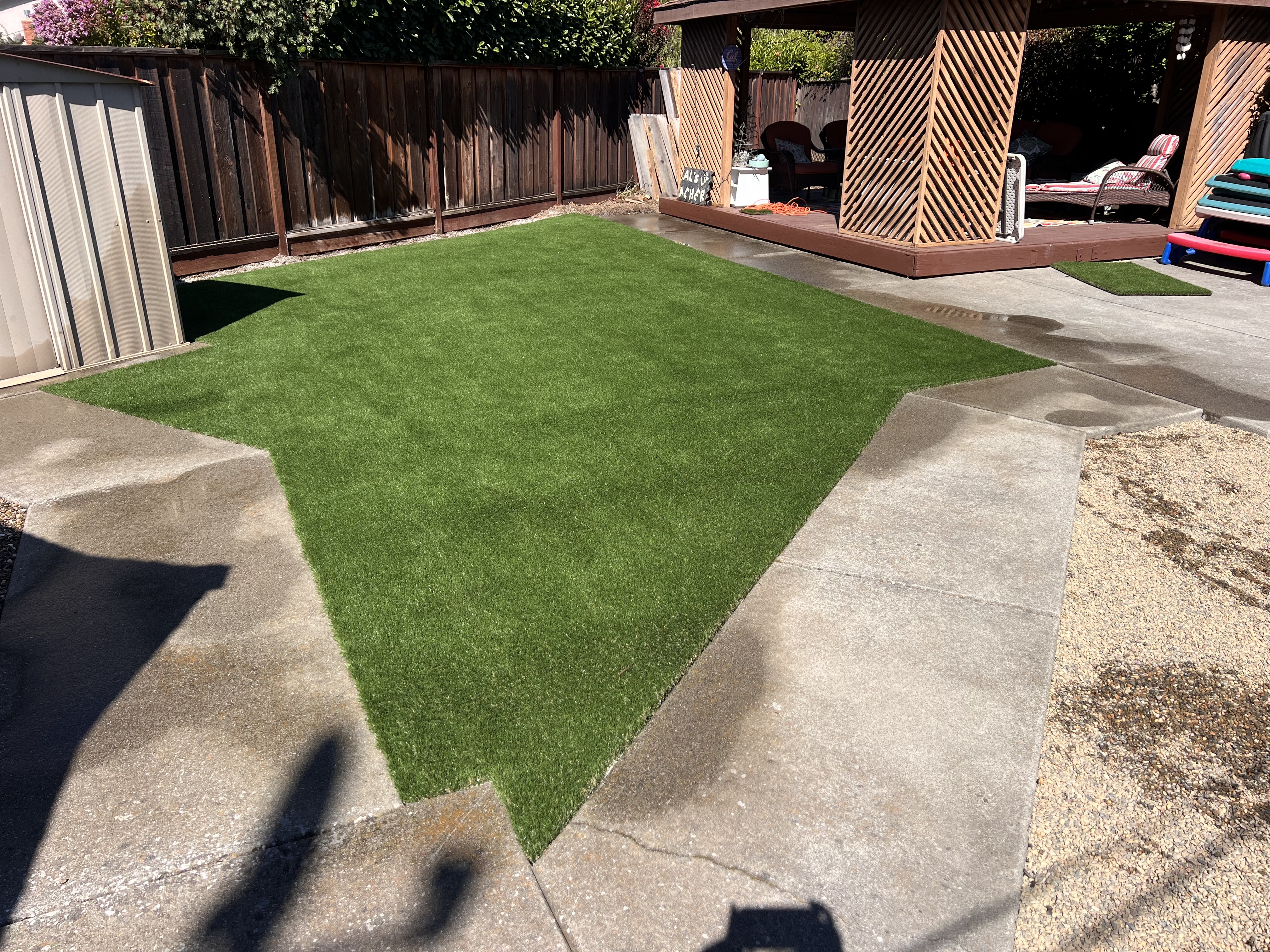 Backyard Lawn