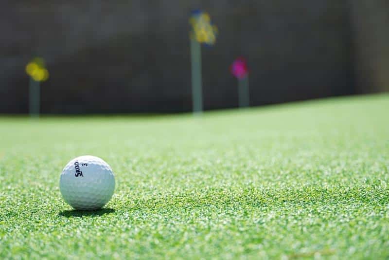Backyard putting green with fringe and cup detail