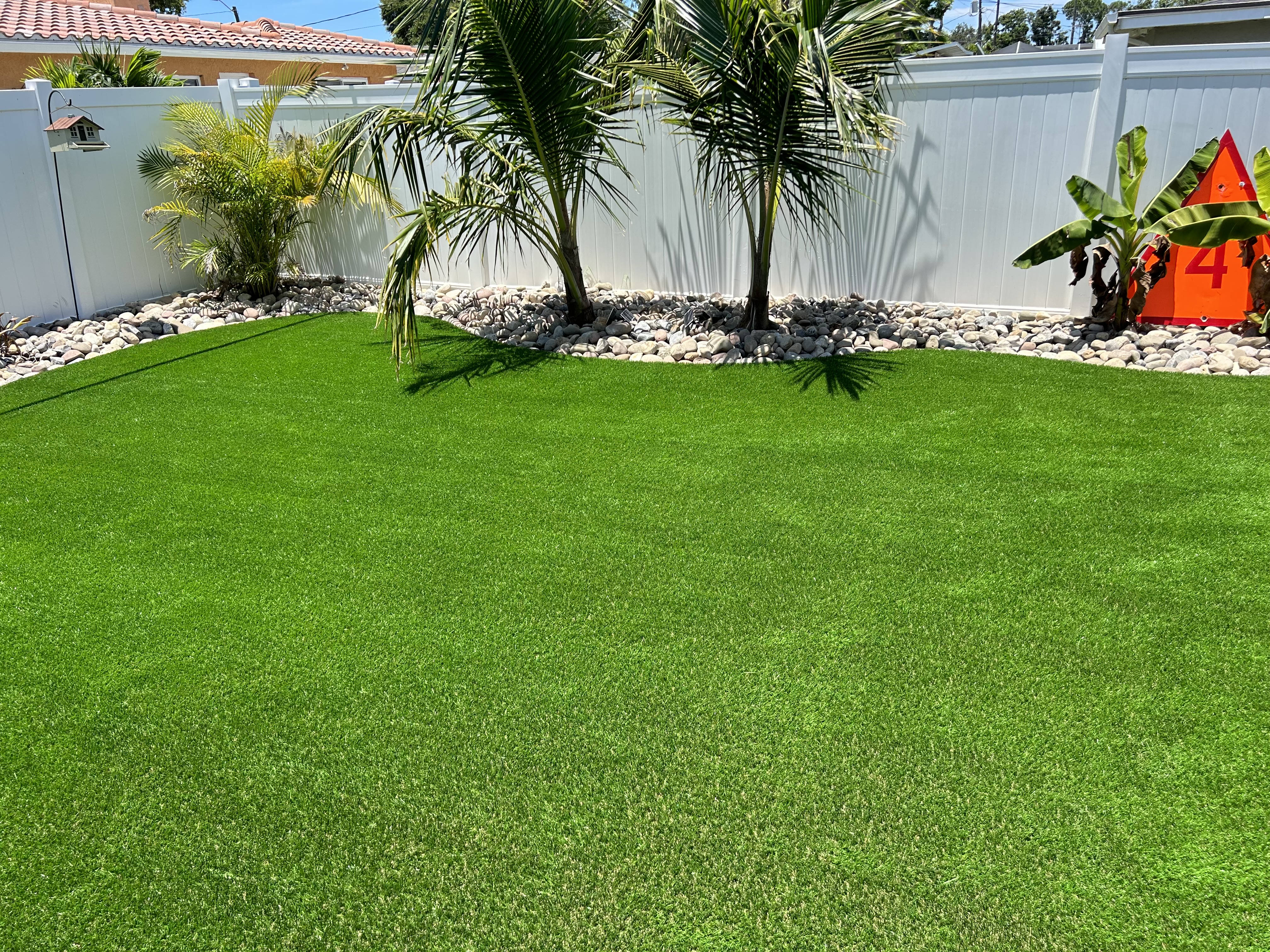 Backyard transformation